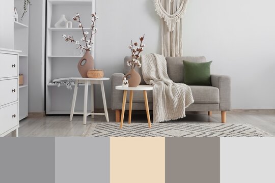 Sofa, shelving units, tables and vases with cotton flowers in interior of living room. Different color patterns