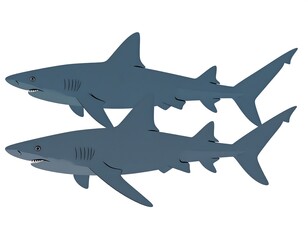 Obraz premium Two sharks swimming side by side