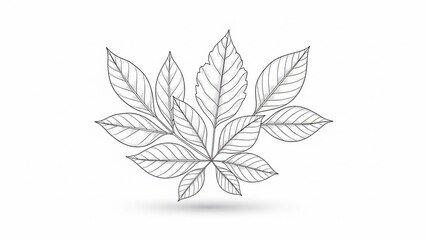 Leaf Arrangement Illustration: An intricate illustration portrays the elegant arrangement of leaves. The leaves, with their detailed texture and delicate veins.