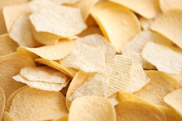 Homemade Flavored Paprika Potato Chips in a Bowl, top view. Flat lay