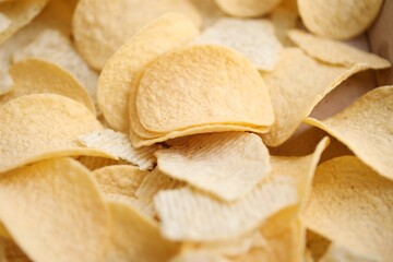 Homemade Flavored Paprika Potato Chips in a Bowl, top view. Flat lay