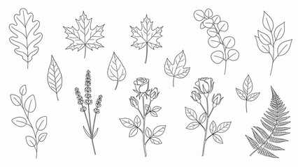 Floral Outlines: A collection of meticulously drawn leaf and floral outlines, showcasing a range of botanical elements in a minimalist style, perfect for design applications.