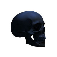 skull 