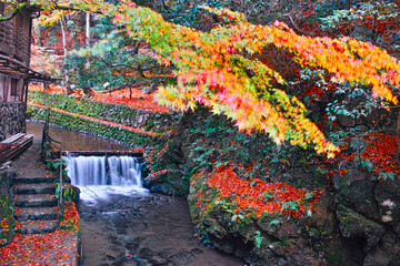 京都市左京区、紅葉で色ずく貴船川の景観
