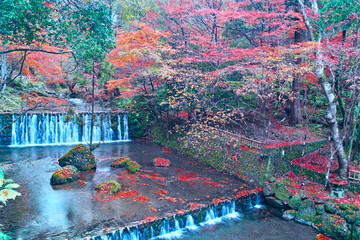 京都市左京区、紅葉で色ずく貴船川の景観
