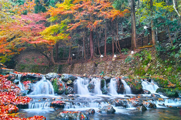 京都市左京区、紅葉で色ずく貴船川の景観
