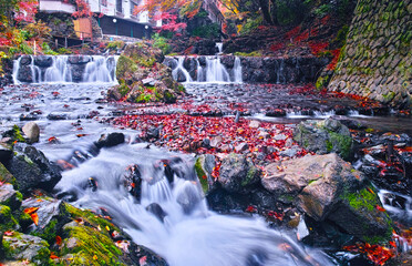 京都市左京区、紅葉で色ずく貴船川の景観
