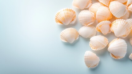 Seashells on a Coastal Breeze: A collection of delicate seashells rest on a pale, smooth surface, evoking a sense of calm and the tranquility of the ocean.