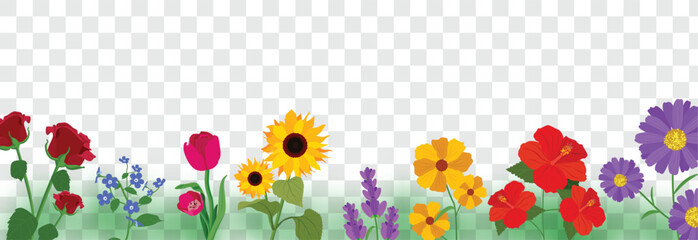 Spring floral ground border illustration showing assorted blooming flowers along a horizontal line, transparent background, suitable for decoration, greeting cards, invitations, and seasonal designs. © Pamblooms