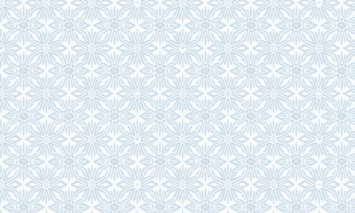 Seamless delicate floral pattern, Pale light blue background with elegant white geometric snowflake motif