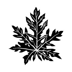 Tropical leaf icon on white background, Botanical poster design element, Tropical leaf silhouette, Exotic jungle leaf, Exotic plant foliage symbol