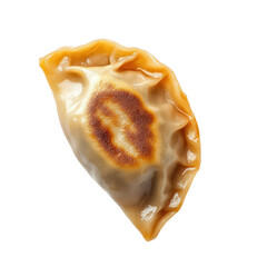 A perfectly cooked golden-brown dumpling with a crispy texture. placed on a clean white background. its delicious filling. ideal for culinary presentations or food blogs