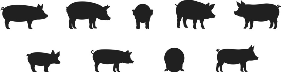 Set of pig silhouettes in various poses and angles, farm animal vector collection for agriculture, butcher, food, and design themes.