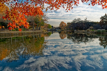 Autumn&rsquo;s Reflection