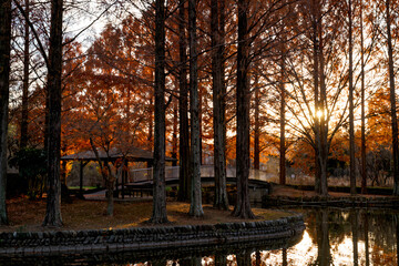Afterglow of Late Autumn