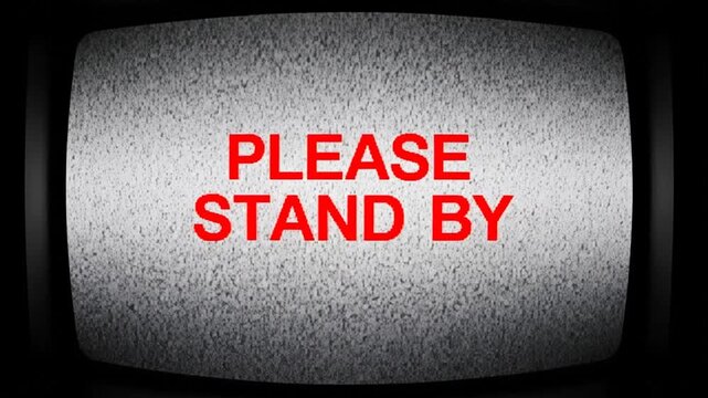 TV Static with Prompt: An image of a television screen displaying static with the urgent message PLEASE STAND BY. This image evokes a sense of anticipation and interruption.