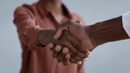 Handshake hands welcome business businessperson businesswoman people office meeting conference event working work networking opportunity introduction intro employee agency thank you up high Handshake