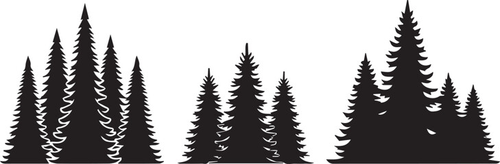 Obraz premium Silhouettes of Tall Pine Trees in Nature Forest Scene