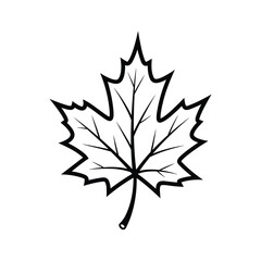 Black and white outline drawing of a maple leaf isolated on