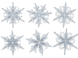 Beautiful snowflakes with intricate patterns and delicate ice crystals on a transparent background