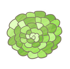 R:もっとメルヘンな野菜☆タアサイ