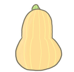 R:もっとメルヘンな野菜 バターナッツ・スクワッシュ①