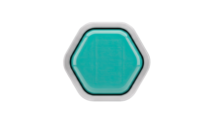Hexagon Button with Silver Frame on White Background