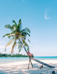 A guy reclines comfortably on a leaning palm tree, enjoying the warm sun on Koh Kood Island, Thailand. Crystal-clear waters and a beautiful beach create a perfect tropical escape.