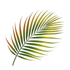Fototapeta premium Isolated vibrant palm frond against a dark background illustration image