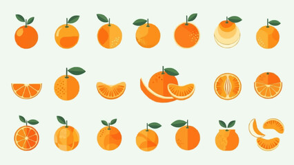Collection of Fresh Oranges and Slices in Various Forms.