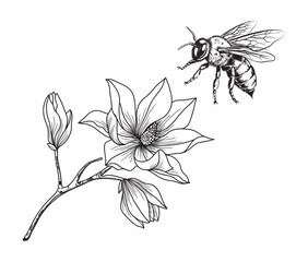 Bees buzzing around flowers. Black line drawing on a white background.