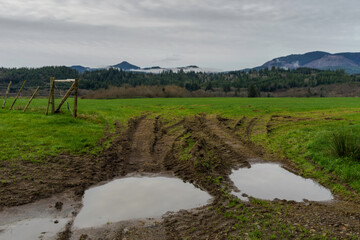 Tillamook  Kilchis Point Reserve in Bay City, Oregon