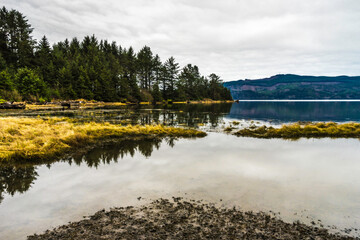 Tillamook  Kilchis Point Reserve in Bay City, Oregon