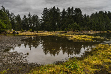 Tillamook  Kilchis Point Reserve in Bay City, Oregon