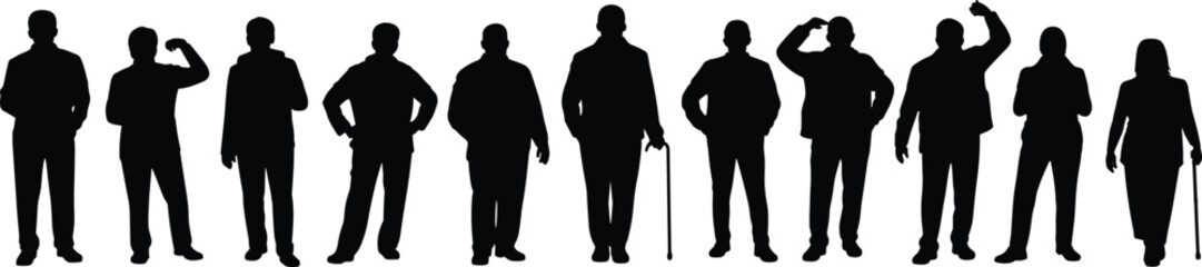 Business people silhouettes working on laptops corporate networking technology professionals diverse employees concept