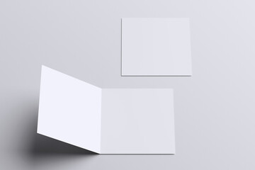 Bifold Brochure Blank