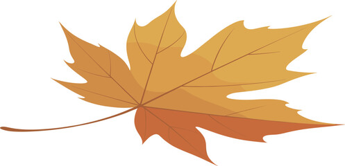 Autumn maple leaf illustration, fall season nature element, orange brown foliage design, isolated botanical graphic, minimal style