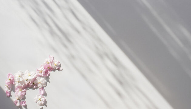 桜と馬」の写真素材 | 11,394件の無料イラスト画像 | Adobe Stock