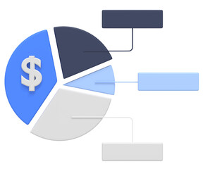 Pie Chart with Dollar Sign and Segments