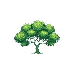 Obraz premium tree isolated on white background