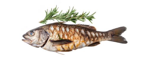 A freshly cooked fish garnished with aromatic herbs. presented on a clean white surface. highlighting the textures and colors. ideal for culinary articles or recipe books
