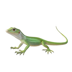 Fototapeta premium A green lizard stands poised on a clean white background. its detailed features and natural stance. ideal for educational materials or wildlife photography