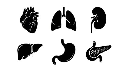 Set of black silhouette icons representing human organs heart, lungs, kidney, liver, stomach, and pancreas
