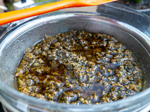 Boiling Cannabis in Butter Double Boiler: Marijuana Infusion Cooking Process Bubbles Steam Cannabutter Making Method