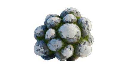 Cluster of Rounded Gray Rocks with Vibrant Green Moss Growing in Interstitial Spaces Detailed Natural Texture Outdoors