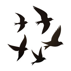 set of silhouettes of birds