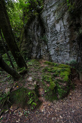 Fototapeta premium Big rock formation in the forest.