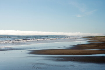 A wide sandy shoreline reflects the blue sky while a fog bank drifts across the horizon above the calm ocean waves rolling gently onto shore. Sea of Okhotsk, Sakhalin Island