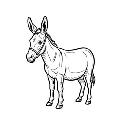 Obraz premium Detailed illustration of a standing donkey in a simple style