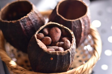 vibrant pile of ripe cacao pods in various shades of yellow, orange, and green, Colorful cocoa pods growing on cacao tree in tropical plantation